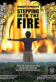 Watch Free  Stepping Into the Fire 2011