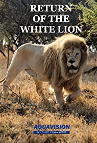 Watch Free Return of the White Lion (2008)