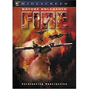 Watch Full Movie :Fire (2004)