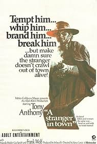 Watch Free A Stranger in Town (1967)