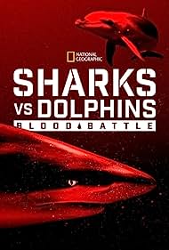 Watch Free Sharks vs Dolphins Blood Battle (2020)