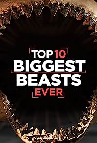 Watch Free Top 10 Biggest Beasts Ever (2015)