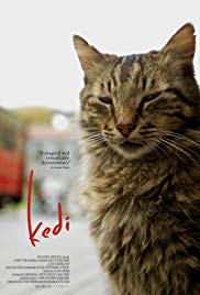 Watch Free Kedi (2016)
