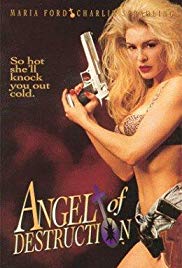 Watch Free Angel of Destruction (1994)