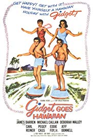 Watch Free Gidget Goes Hawaiian (1961)